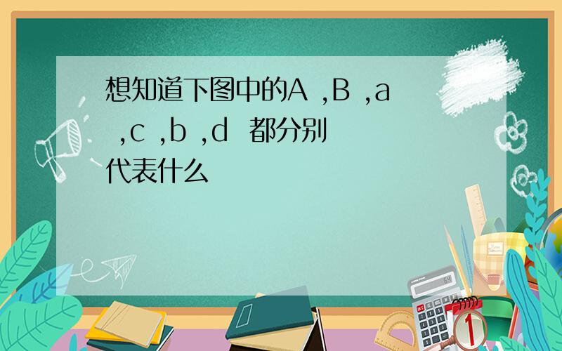 想知道下图中的A ,B ,a ,c ,b ,d  都分别代表什么