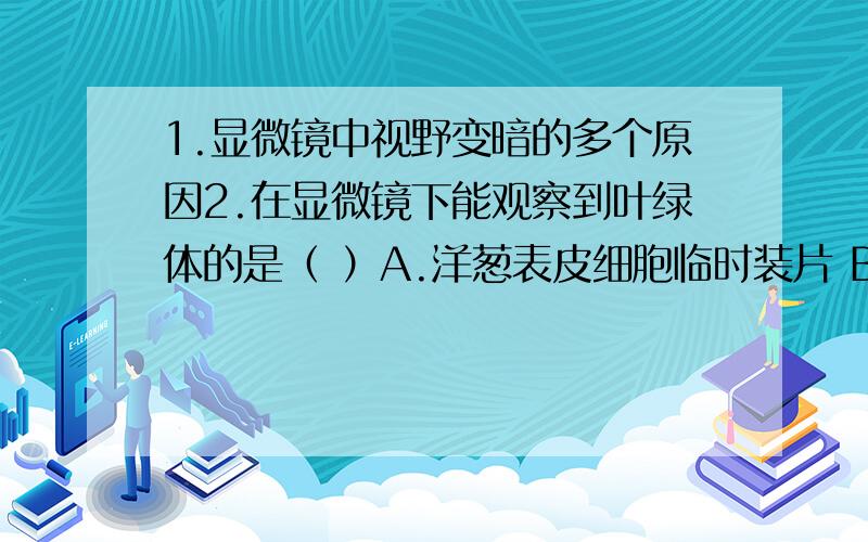 1.显微镜中视野变暗的多个原因2.在显微镜下能观察到叶绿体的是（ ）A.洋葱表皮细胞临时装片 B.番茄果肉细胞临时装片 C.黑藻叶片细胞临时装片D.小麦根尖的纵切片主要分析 洋葱表皮细胞