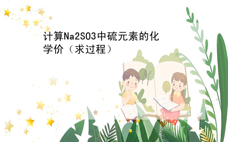 计算Na2SO3中硫元素的化学价（求过程）