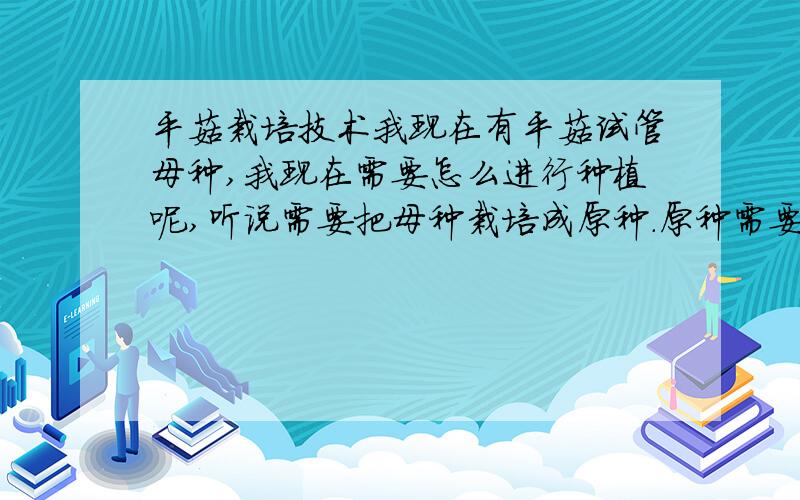 平菇栽培技术我现在有平菇试管母种,我现在需要怎么进行种植呢,听说需要把母种栽培成原种．原种需要用什么料呢．?