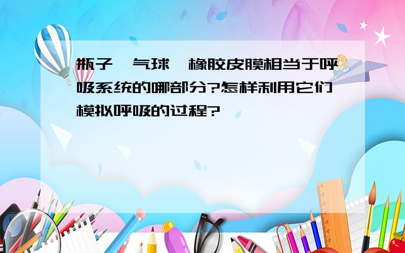 瓶子、气球、橡胶皮膜相当于呼吸系统的哪部分?怎样利用它们模拟呼吸的过程?