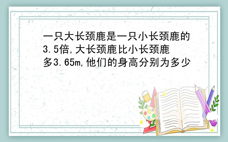 一只大长颈鹿是一只小长颈鹿的3.5倍,大长颈鹿比小长颈鹿多3.65m,他们的身高分别为多少