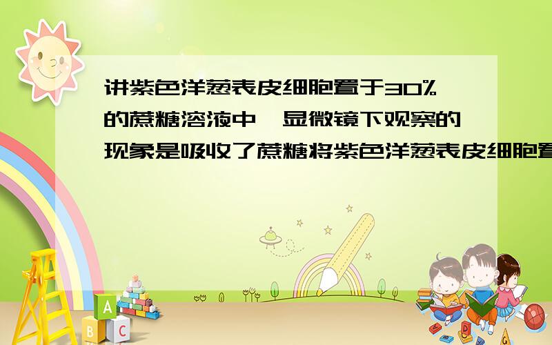 讲紫色洋葱表皮细胞置于30%的蔗糖溶液中,显微镜下观察的现象是吸收了蔗糖将紫色洋葱表皮细胞置于30%的蔗糖溶液中,光镜下所观察到的现象是 ( )①液泡逐渐变小,颜色由浅变深 ②液泡逐渐