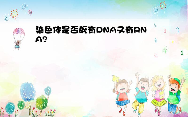 染色体是否既有DNA又有RNA?