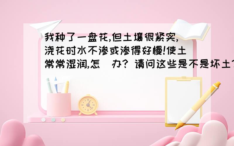 我种了一盘花,但土壤很紧实,浇花时水不渗或渗得好慢!使土常常湿润,怎麼办? 请问这些是不是坏土?