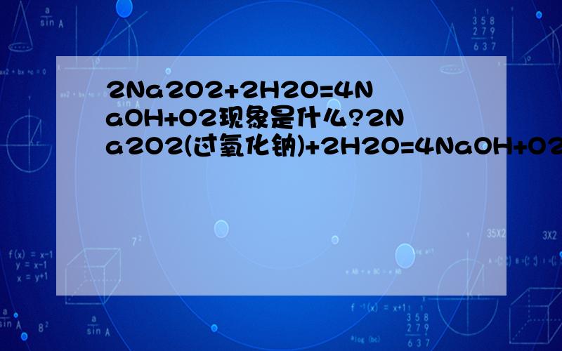 2Na2O2+2H2O=4NaOH+O2现象是什么?2Na2O2(过氧化钠)+2H2O=4NaOH+O2的现象是什么