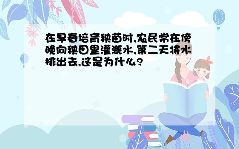 在早春培育秧苗时,农民常在傍晚向秧田里灌溉水,第二天将水排出去,这是为什么?