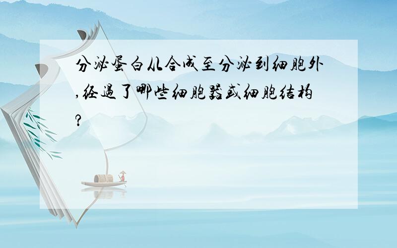 分泌蛋白从合成至分泌到细胞外,经过了哪些细胞器或细胞结构?