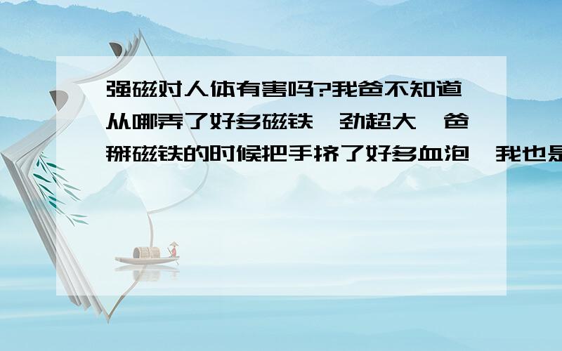 强磁对人体有害吗?我爸不知道从哪弄了好多磁铁,劲超大,爸掰磁铁的时候把手挤了好多血泡,我也是用手嵌改锥才弄开的,两片磁铁可以隔着我两个手的厚度吸着不掉,请问这样的磁力放在我卧