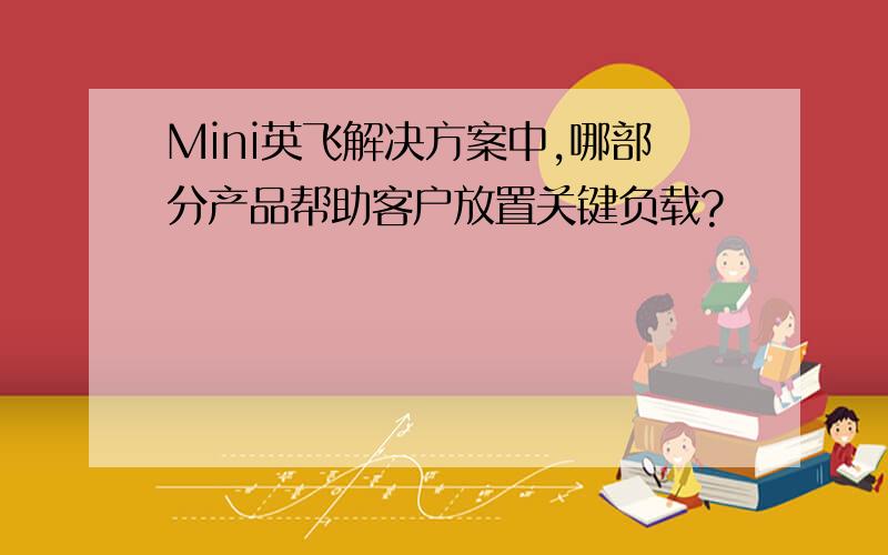 Mini英飞解决方案中,哪部分产品帮助客户放置关键负载?