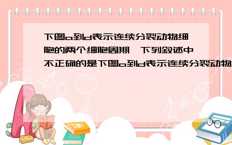 下图a到d表示连续分裂动物细胞的两个细胞周期,下列叙述中不正确的是下图a到d表示连续分裂动物细胞的两个细胞周期,下列叙述中不正确的是A.     a过程完成中完成中心体复制B.     遗传物质