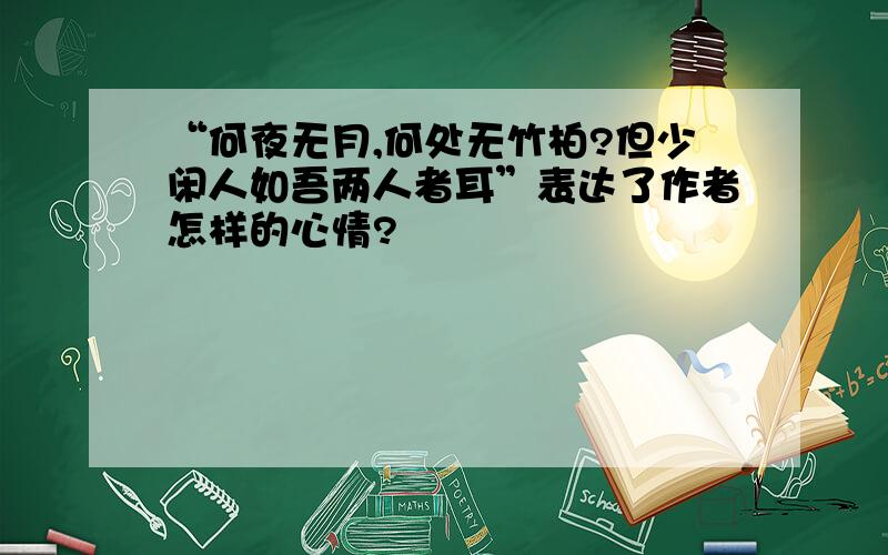 “何夜无月,何处无竹柏?但少闲人如吾两人者耳”表达了作者怎样的心情?