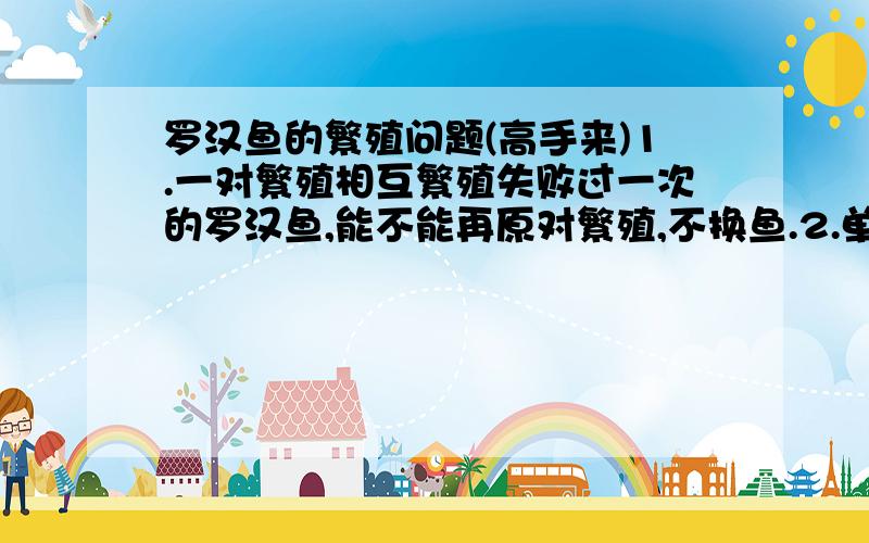 罗汉鱼的繁殖问题(高手来)1.一对繁殖相互繁殖失败过一次的罗汉鱼,能不能再原对繁殖,不换鱼.2.单条对单条繁殖几率高,还是用一群母鱼放进去的几率高.楼上的 别说些没用的 那些我也会 不