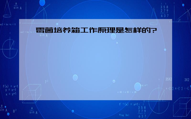 霉菌培养箱工作原理是怎样的?