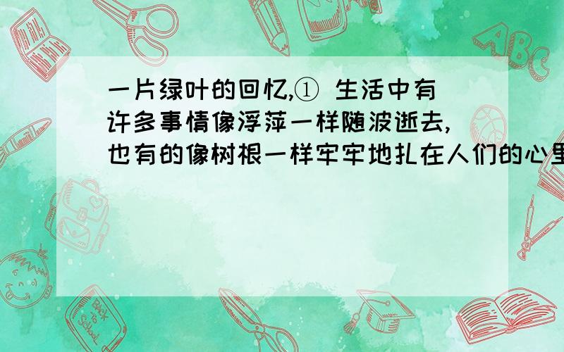 一片绿叶的回忆,① 生活中有许多事情像浮萍一样随波逝去,也有的像树根一样牢牢地扎在人们的心里.每当我翻开纪念册,看到一张卡片上夹着的那一片绿叶时,我就深深地怀念起我的启蒙老师