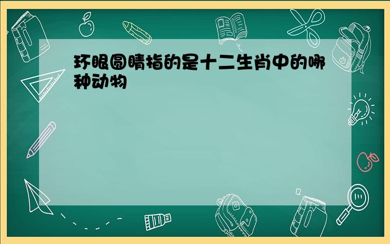 环眼圆睛指的是十二生肖中的哪种动物