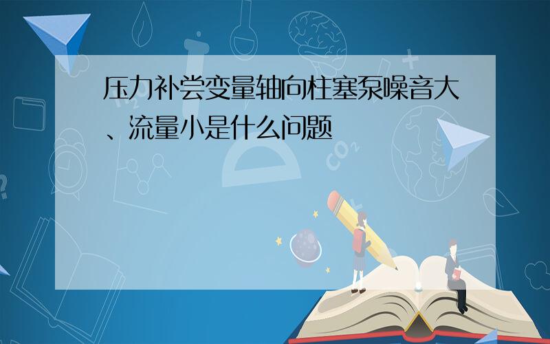 压力补尝变量轴向柱塞泵噪音大、流量小是什么问题