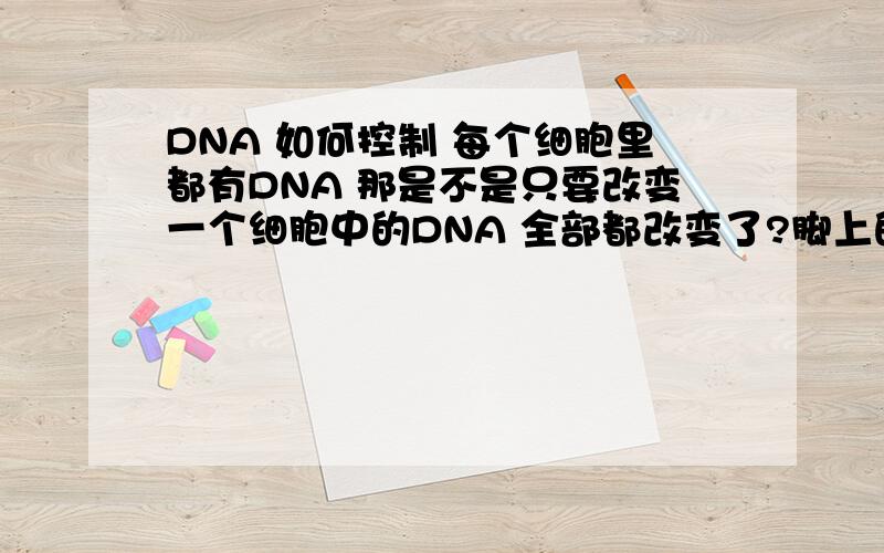 DNA 如何控制 每个细胞里都有DNA 那是不是只要改变一个细胞中的DNA 全部都改变了?脚上的某一个细胞里的DNA 还可以控制我头部形状吗?