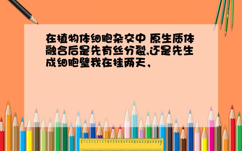 在植物体细胞杂交中 原生质体融合后是先有丝分裂,还是先生成细胞壁我在挂两天，