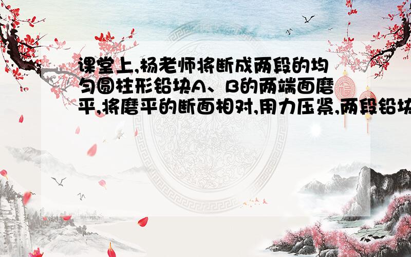 课堂上,杨老师将断成两段的均匀圆柱形铅块A、B的两端面磨平,将磨平的断面相对,用力压紧,两段铅块合在了一起,就像没有断开过一样.接着杨老师把合在一起的铅块竖直悬挂在铁架台上,然后