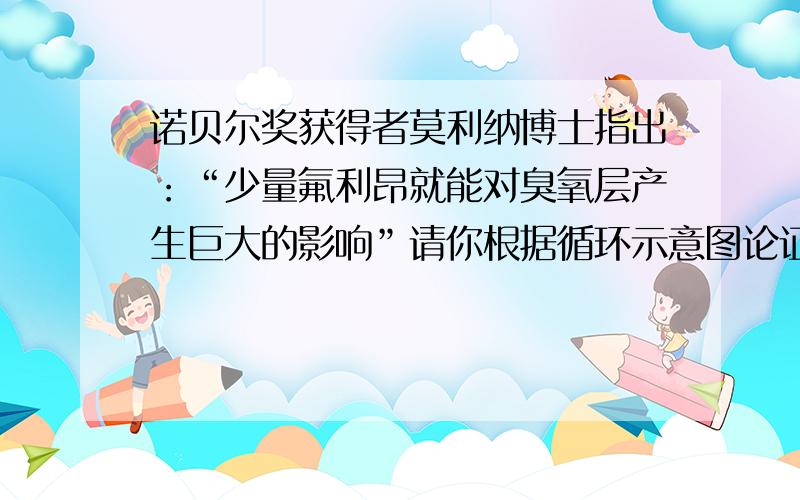 诺贝尔奖获得者莫利纳博士指出：“少量氟利昂就能对臭氧层产生巨大的影响”请你根据循环示意图论证他的观同上