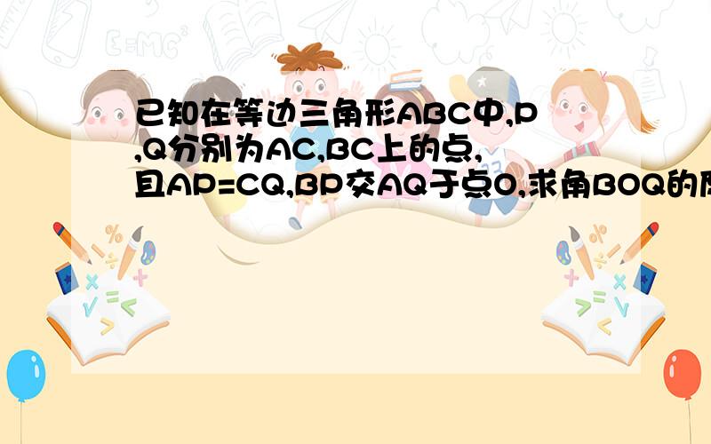 已知在等边三角形ABC中,P,Q分别为AC,BC上的点,且AP=CQ,BP交AQ于点O,求角BOQ的度数.