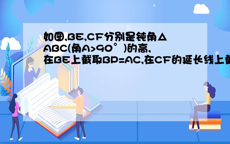 如图,BE,CF分别是钝角△ABC(角A>90°)的高,在BE上截取BP=AC,在CF的延长线上截取CQ=AB,连接AP、AQ.（1）AP与AQ相等吗?说明理由.（2）判断AP与AQ的位置关系,并对你的判断进行证明.