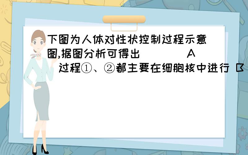 下图为人体对性状控制过程示意图,据图分析可得出(　　)A．过程①、②都主要在细胞核中进行 B．食物中缺乏酪氨酸会使皮肤变白 C．M1和M2不可能同时出现在同一个细胞中 D．老年人细胞中