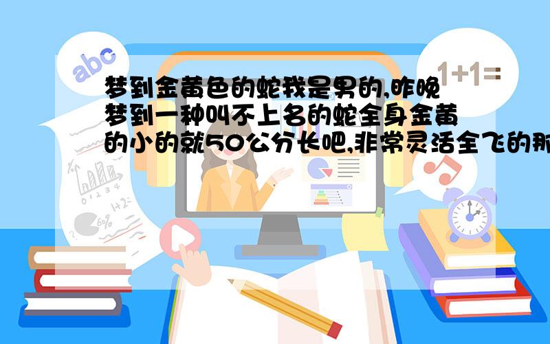 梦到金黄色的蛇我是男的,昨晚梦到一种叫不上名的蛇全身金黄的小的就50公分长吧,非常灵活全飞的那种.是在我自己家里还会飞到我身上,对了前一阵也做过好像.本人这几天要出会朋友不知是