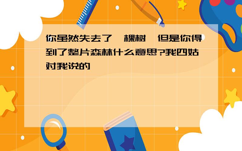 你虽然失去了一棵树,但是你得到了整片森林什么意思?我四姑对我说的