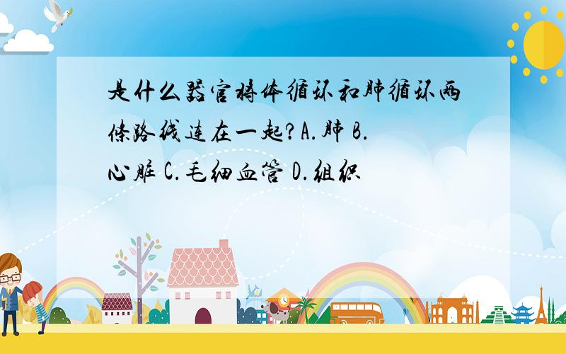 是什么器官将体循环和肺循环两条路线连在一起?A.肺 B.心脏 C.毛细血管 D.组织