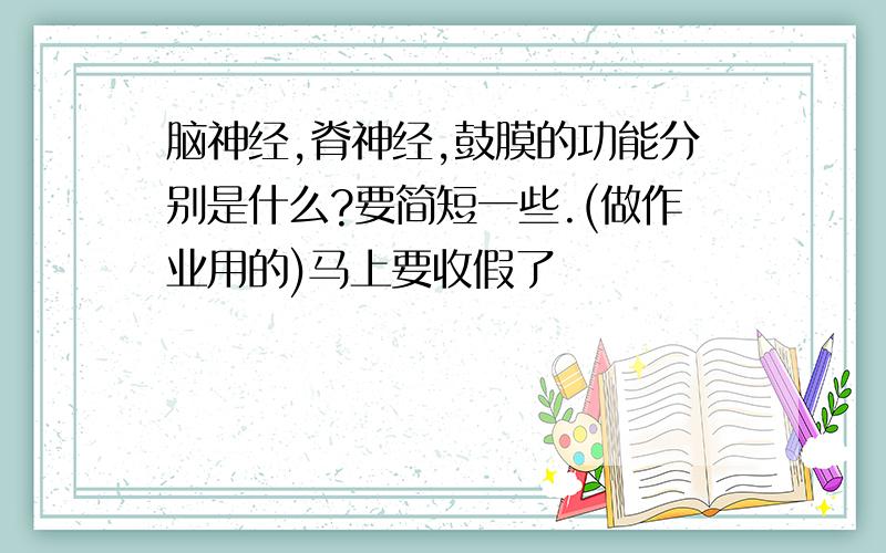 脑神经,脊神经,鼓膜的功能分别是什么?要简短一些.(做作业用的)马上要收假了