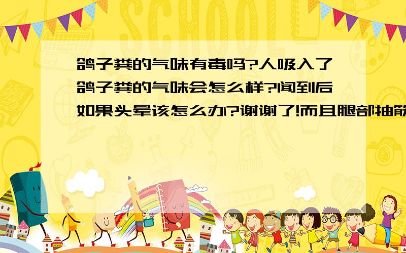 鸽子粪的气味有毒吗?人吸入了鸽子粪的气味会怎么样?闻到后如果头晕该怎么办?谢谢了!而且腿部抽筋,是不是脑缺氧