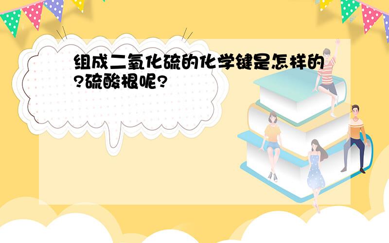 组成二氧化硫的化学键是怎样的?硫酸根呢?