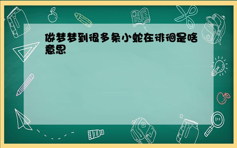 做梦梦到很多条小蛇在徘徊是啥意思