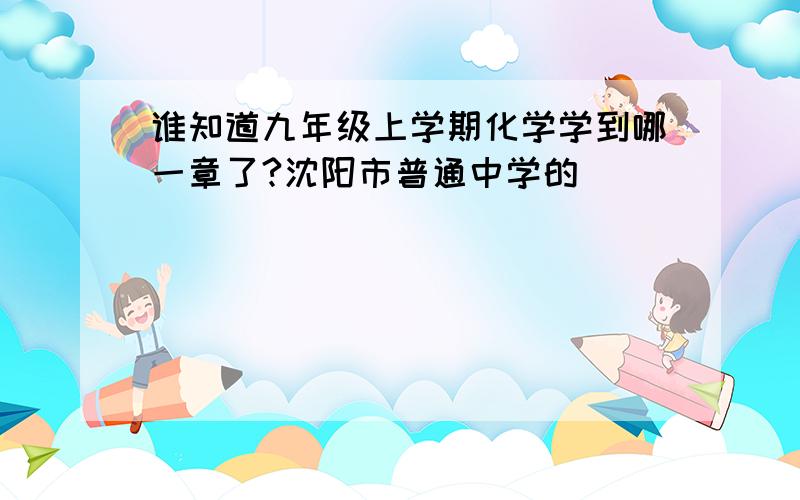 谁知道九年级上学期化学学到哪一章了?沈阳市普通中学的