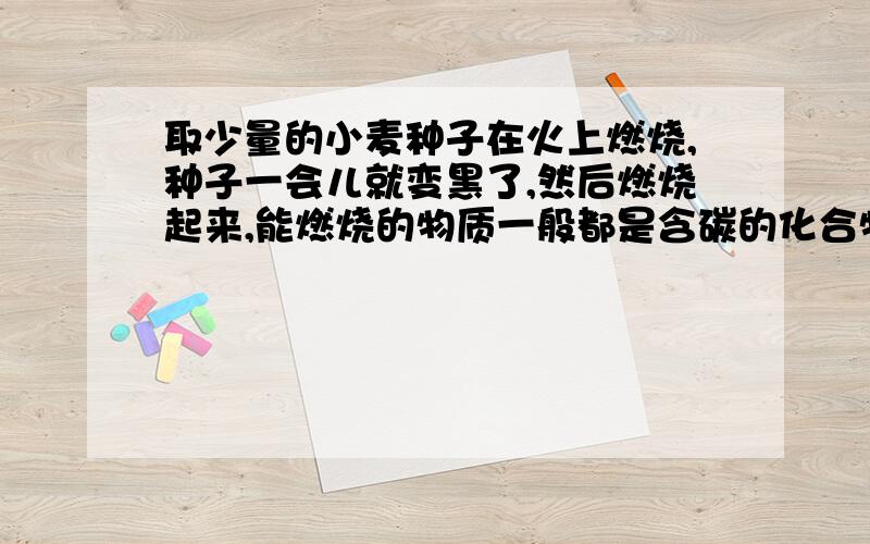 取少量的小麦种子在火上燃烧,种子一会儿就变黑了,然后燃烧起来,能燃烧的物质一般都是含碳的化合物.取少量的小麦种子在火上燃烧,种子一会儿就变黑了,然后燃烧起来,能燃烧的物质一般都