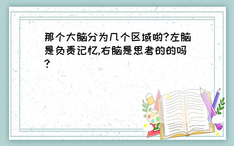 那个大脑分为几个区域哟?左脑是负责记忆,右脑是思考的的吗?