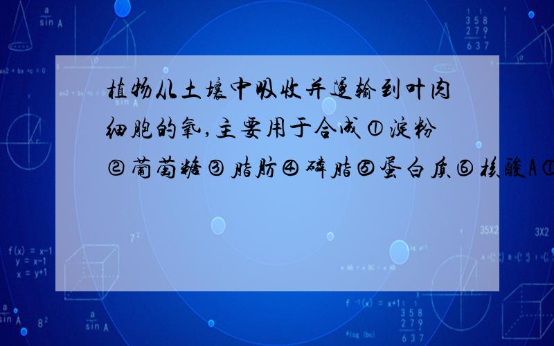 植物从土壤中吸收并运输到叶肉细胞的氧,主要用于合成①淀粉②葡萄糖③脂肪④磷脂⑤蛋白质⑥核酸A①④⑤ B③④⑤ C④⑤⑥ D②④⑤ 选哪个,说出原因.