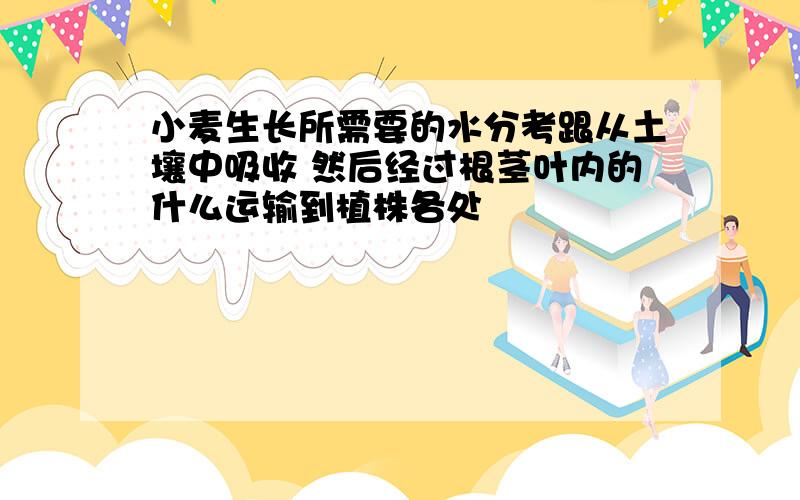 小麦生长所需要的水分考跟从土壤中吸收 然后经过根茎叶内的什么运输到植株各处