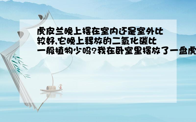 虎皮兰晚上摆在室内还是室外比较好,它晚上释放的二氧化碳比一般植物少吗?我在卧室里摆放了一盘虎皮兰,还有一盘“吉祥如意”,是不是有点多了?虎皮兰能防辐射吗?比起仙人掌谁更厉害?请