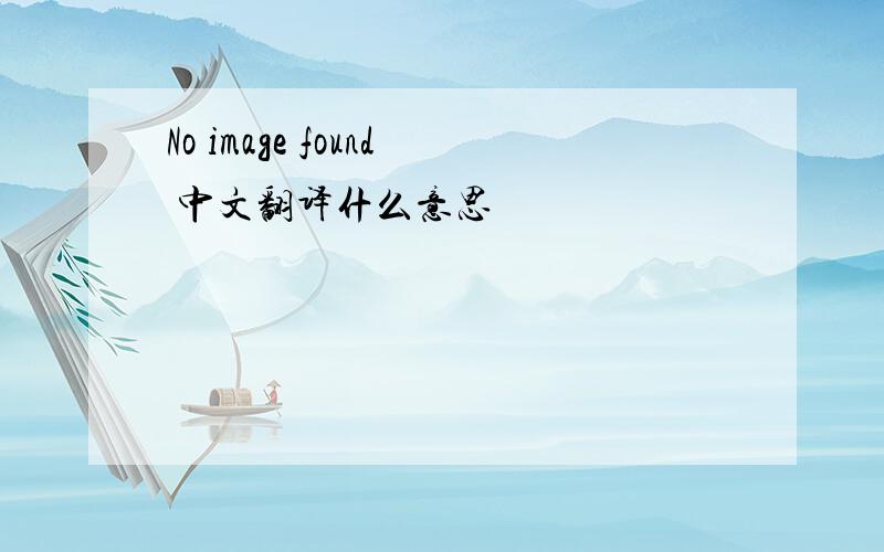 No image found 中文翻译什么意思