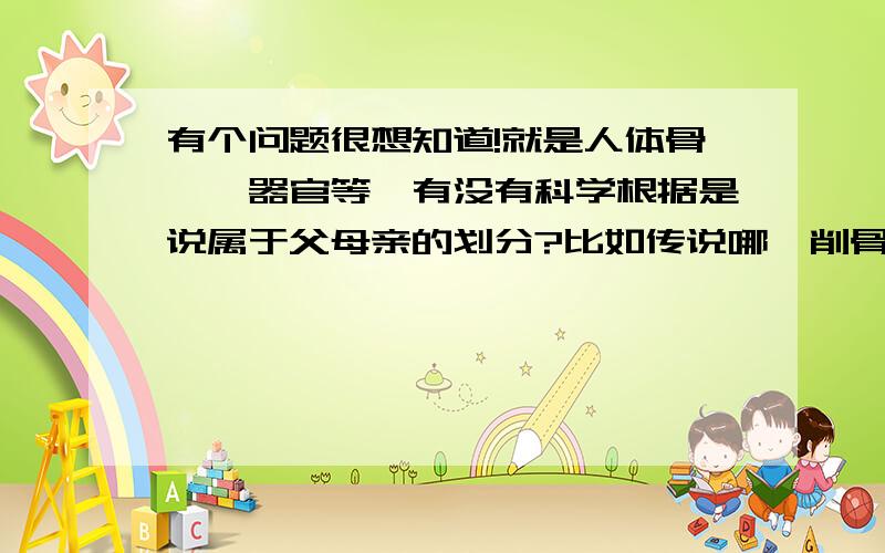 有个问题很想知道!就是人体骨骼、器官等,有没有科学根据是说属于父母亲的划分?比如传说哪吒削骨还有个问题很想知道!就是人体骨骼、器官等,有没有科学根据是说属于父母亲的划分?比如