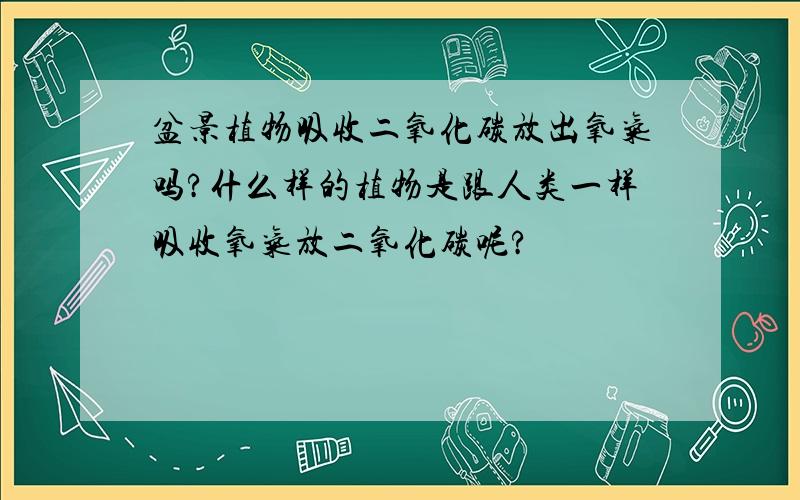 盆景植物吸收二氧化碳放出氧气吗?什么样的植物是跟人类一样吸收氧气放二氧化碳呢?