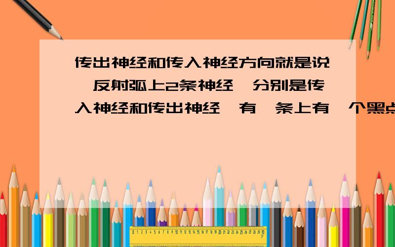 传出神经和传入神经方向就是说,反射弧上2条神经,分别是传入神经和传出神经,有一条上有一个黑点,则那条神经上的方向是什么（是传入神经还是传出神经）?