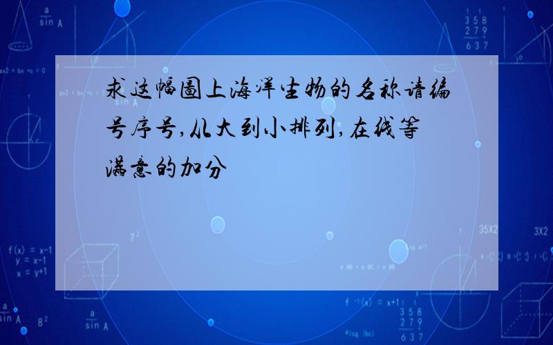 求这幅图上海洋生物的名称请编号序号,从大到小排列,在线等满意的加分