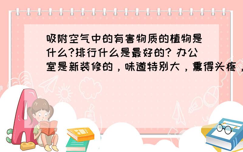 吸附空气中的有害物质的植物是什么?排行什么是最好的？办公室是新装修的，味道特别大，熏得头疼，