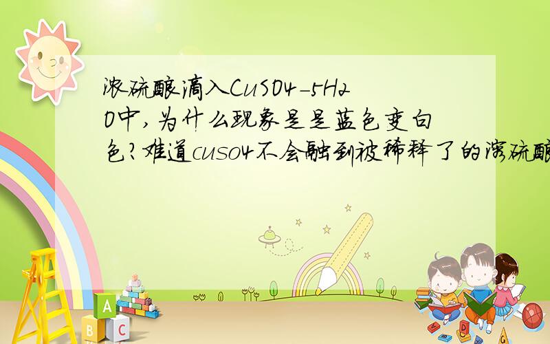 浓硫酸滴入CuSO4-5H2O中,为什么现象是是蓝色变白色?难道cuso4不会融到被稀释了的溶硫酸了吗?