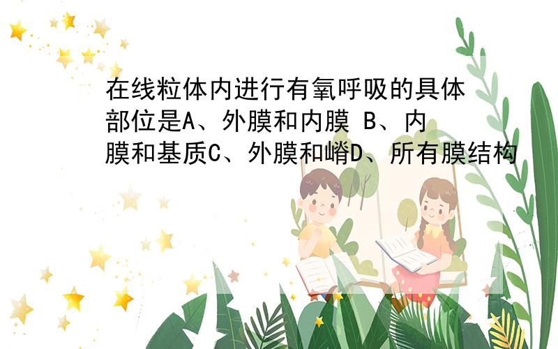 在线粒体内进行有氧呼吸的具体部位是A、外膜和内膜 B、内膜和基质C、外膜和嵴D、所有膜结构