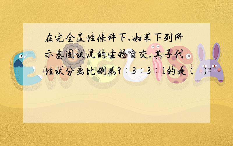 在完全显性条件下,如果下列所示基因状况的生物自交,其子代性状分离比例为9∶3∶3∶1的是（ ）